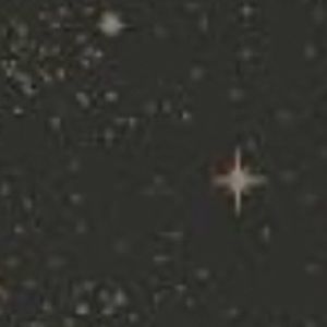 Meet your Posher, Zoie